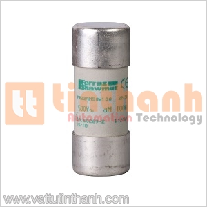 DF2FA08 - Cầu chì Tesys 22x58MM-AM 8A Schneider